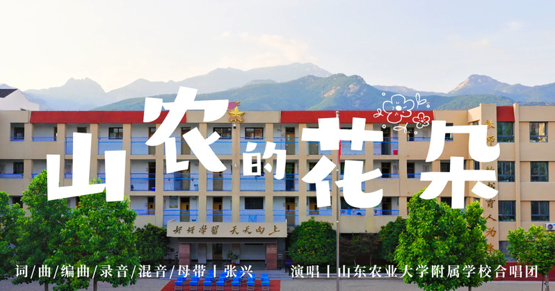 山农的花朵